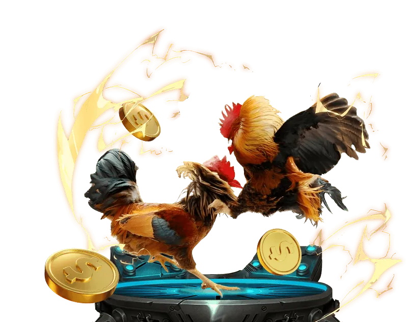 Livestream đá gà chất lượng cao